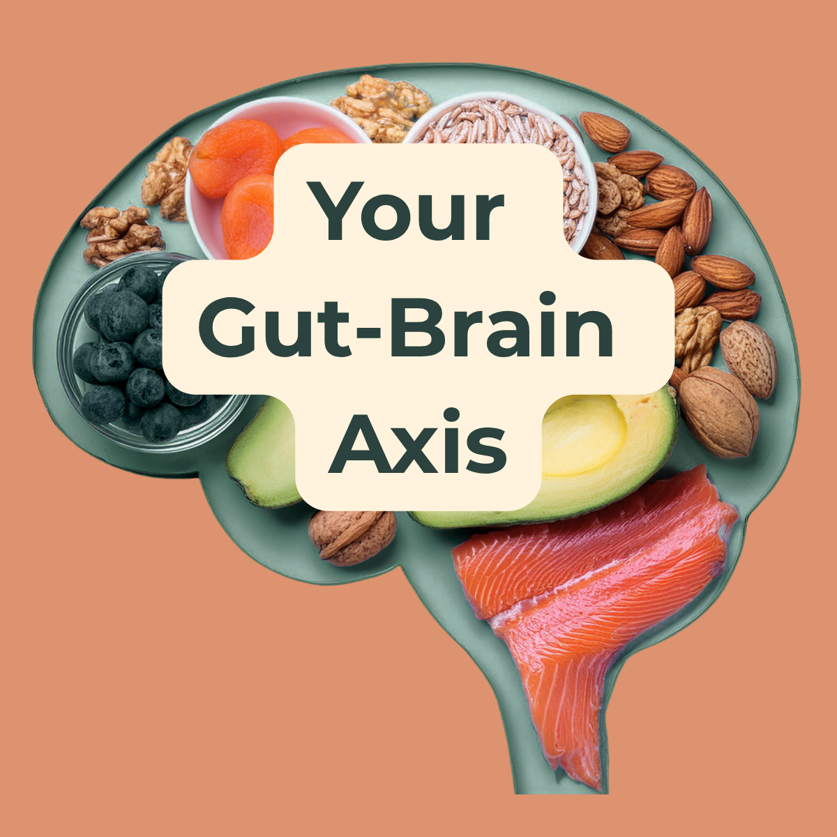 Probiotics and the brain - discover psychobiotics
