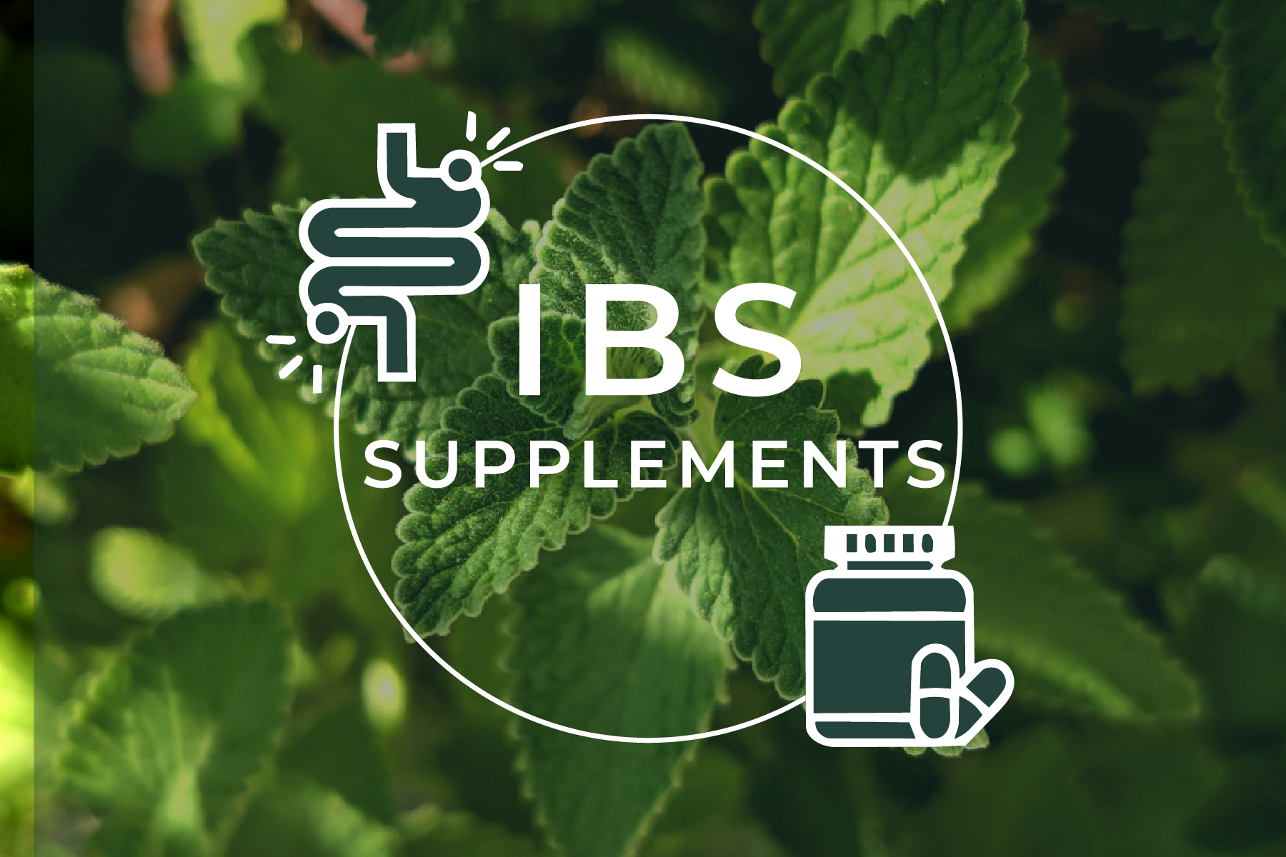 IBS Supplements: a guide to Irritable Bowel Syndrome treatments