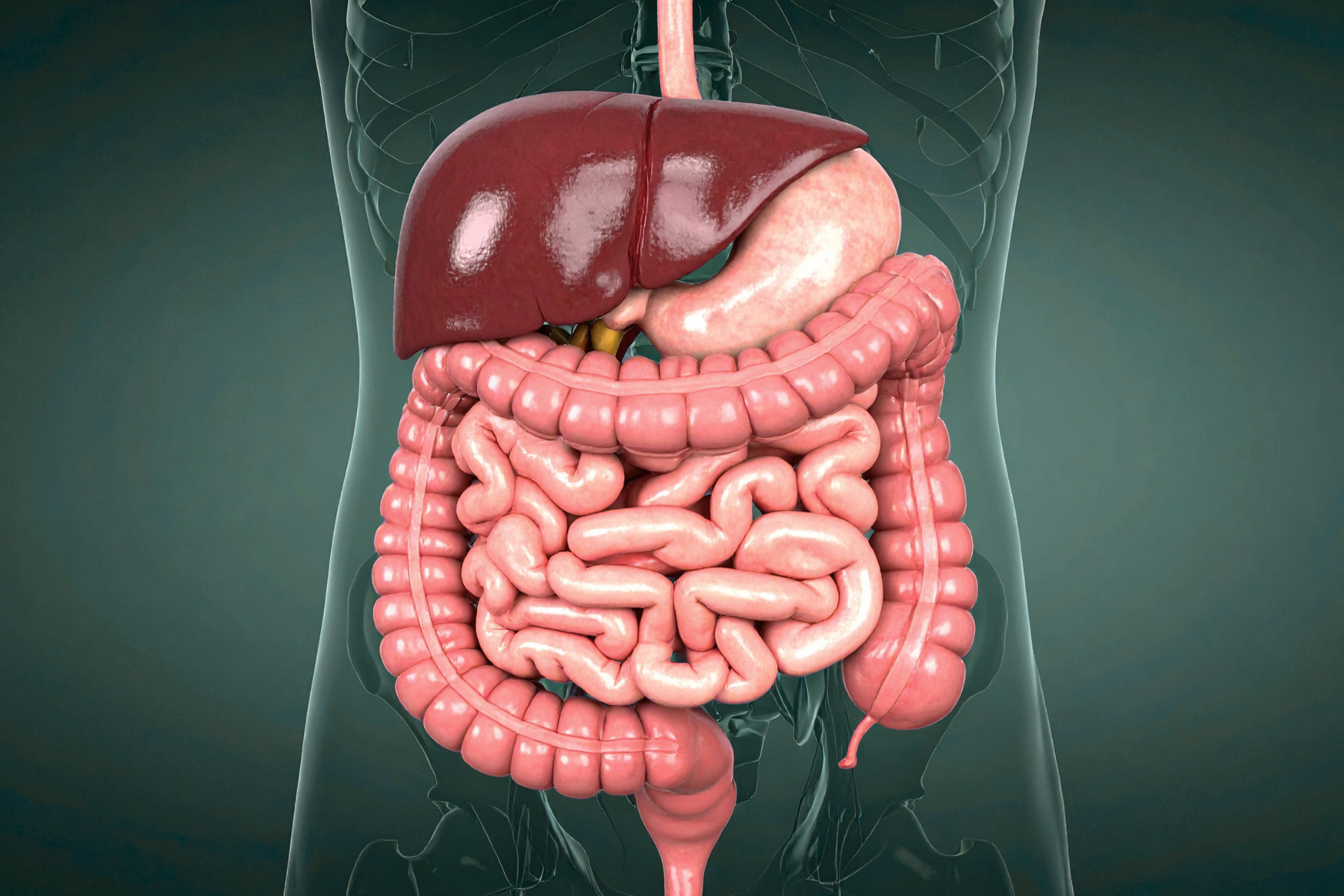 Can Mounjaro cause IBS and SIBO?