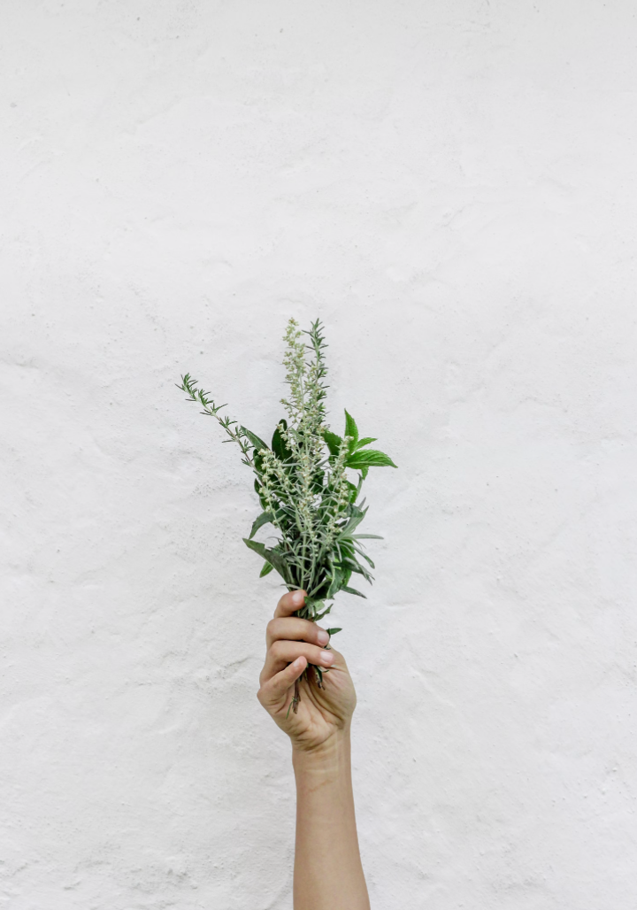 What Foods can trigger IBS?