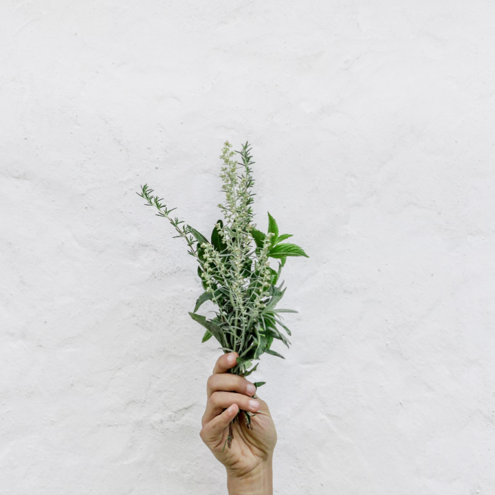 What Foods can trigger IBS?